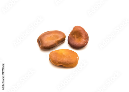Three fava beans or broad beans planting seeds isolated on white background