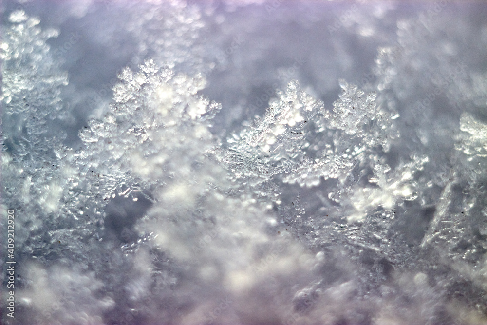 selective focus of snowflakes macro with blurred background - obrazy, fototapety, plakaty 