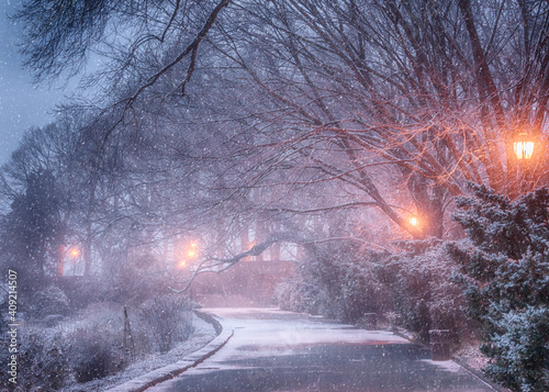Snowing in Fort Tryon Park © Yury