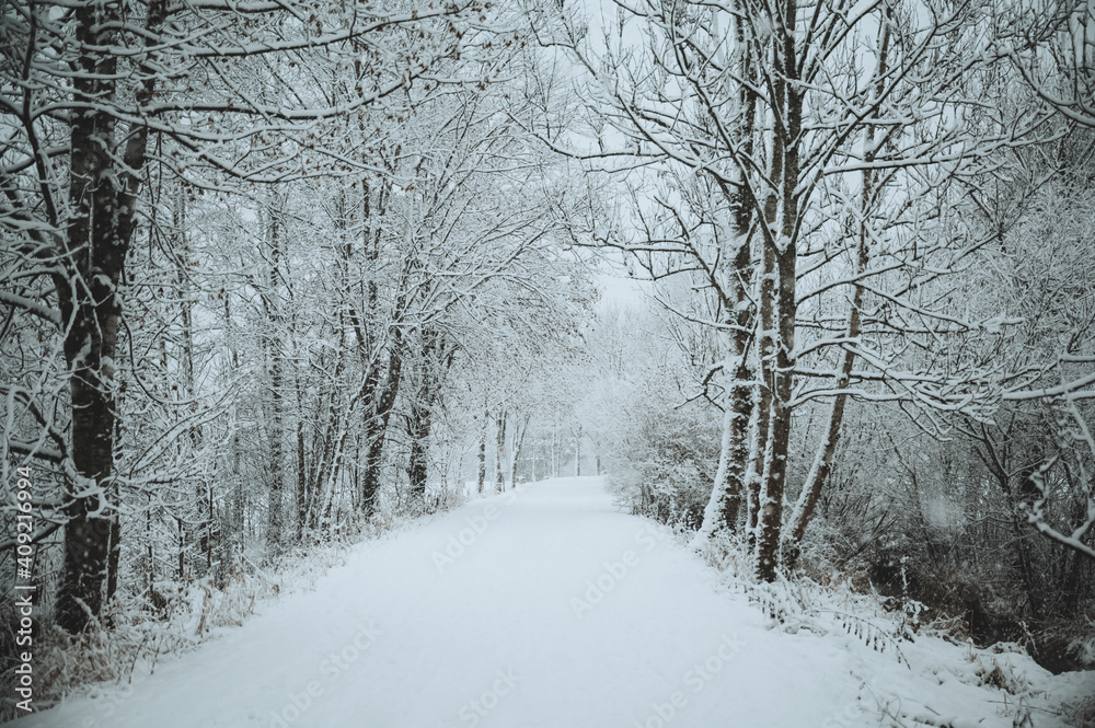 Verschneiter Weg Verschneiter Weg