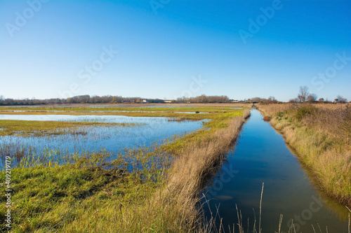 Winter in the wetland lagoon area near Grado, Friuli-Venezia Giulia, north east Italy 