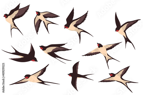 Colorful flying swallows flat illustration set. Cartoon birds flock in fight with different poses isolated vector illustration collection. Wildlife and fauna concept