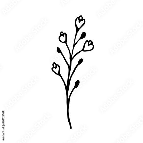 Doodle stem with flowers and berries. Vector illustration of twigs with flowers can be used for packaging cosmetics, shower gels, soaps, textiles