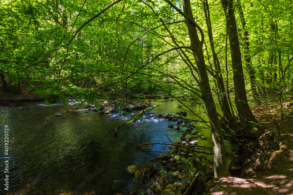 Landschaft im Nebeldurchbruchstal zwischen Serrahn und Kuchelmiß