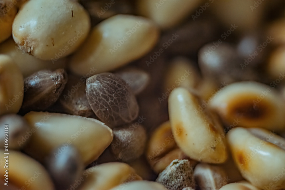 beans on a wooden background beans on a wooden background