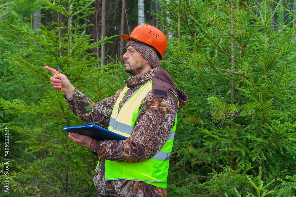 A forest ecologist oversees the development of a young forest. Real people work. A forest ecologist oversees the development of a young forest. Real people work.