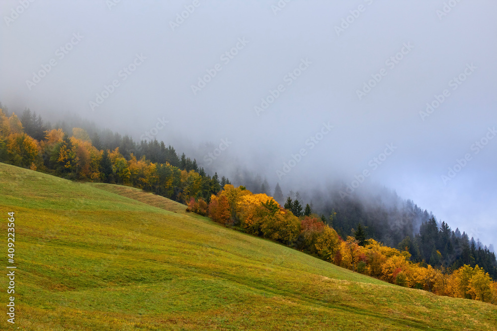 Landscape of autumn trees in the fog - Albiez - Savoy - French Alps Landscape of autumn trees in the fog - Albiez - Savoy - French Alps