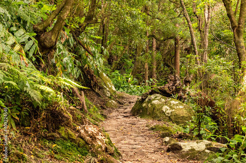 Einsamer Wanderweg zu einem Wasserfall auf der Azoren Insel Sao Miguel