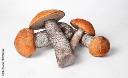 Foto Group porcini on light  background