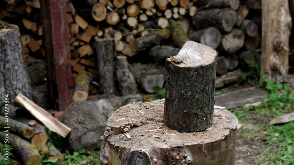 Splitting firewood with an axe. Cutting logs, harvesting firewood for the winter Splitting firewood with an axe. Cutting logs, harvesting firewood for the winter