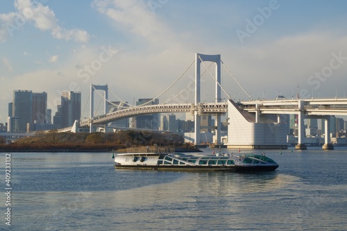 お台場海浜公園から見る東京湾の眺め 昼下がり 紅葉 海に浮かぶ浮き 