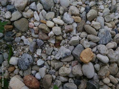 views of pebbles and wild plants in the morning