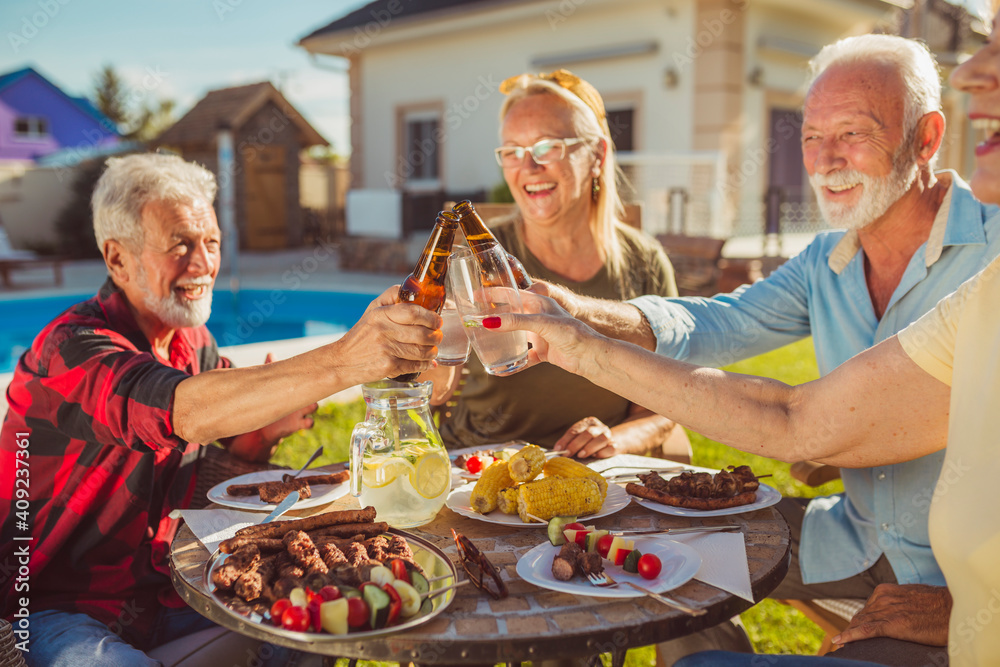 Senior friends making a toast while having an outdoor lunch Senior friends making a toast while having an outdoor lunch