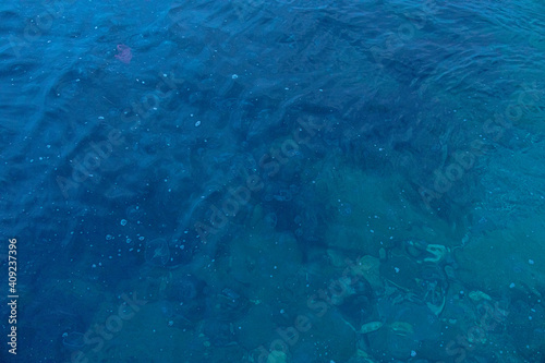 Wallpaper Mural sea with floating non-colored jellyfish in the evening Torontodigital.ca