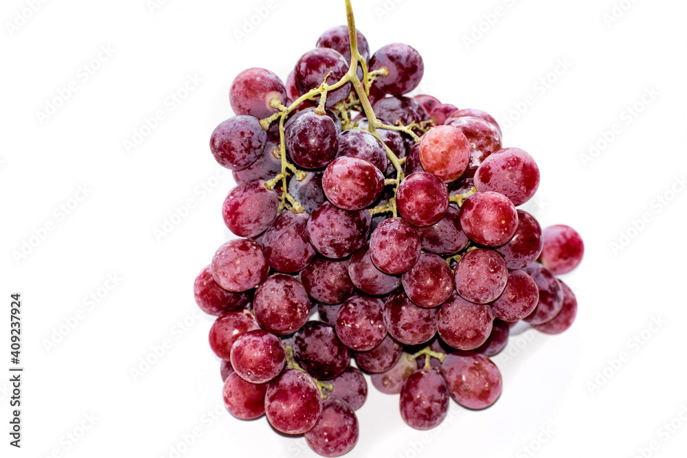 Bunches of pink grapes. Isolated on white background. Grape picking