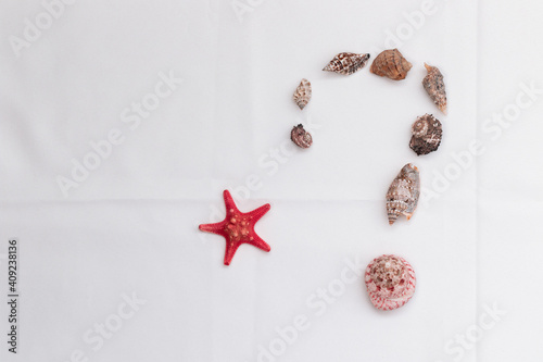 A question mark made of red seashells and a starfish on a white cloth. Symbol made from fossils on a white background. Flatley. Copyspace.