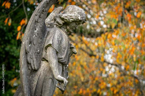 Angel stunning stone granite statue grave headstone in cemetery graveyard sculpture autumn orange leaves beautiful scenery with wings holding flower eerie atmosphere trees and autumnal background