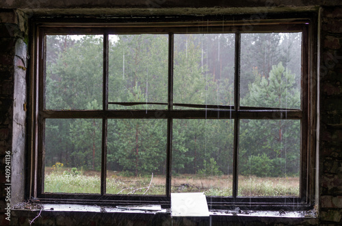 Checked window frame. View of the forest through a window without glass.
