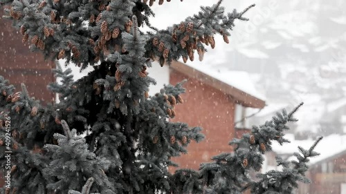Snow falling on houses and connifers in the heart of the swiss village of Zermatt in the canton of Valais, Switzerland.