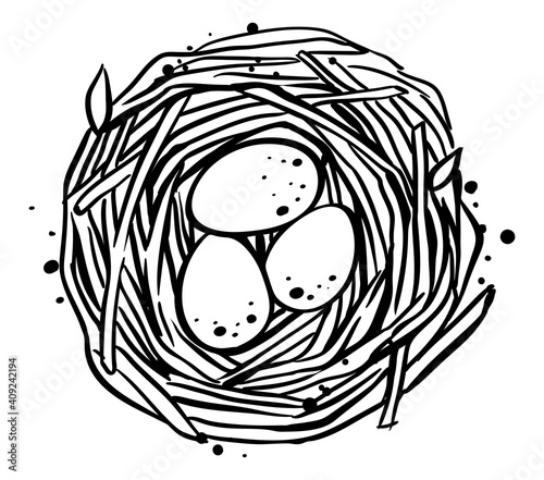 Bird's nest with eggs, hand drawn vector, monochrome