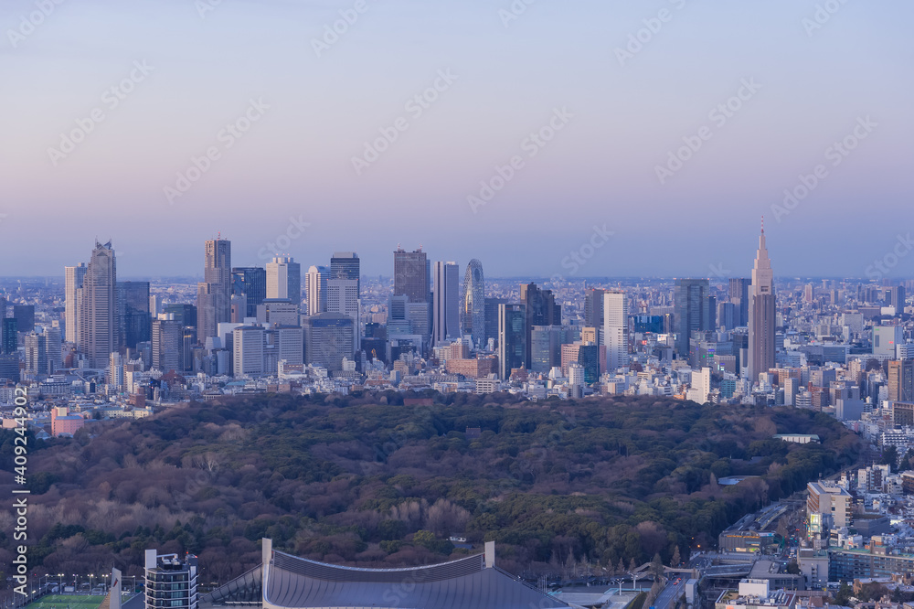 Obraz premium 東京都渋谷区から見た東京の夕景