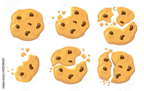Broken oatmeal cookies set. Traditional American biscuit with chocolate crunches isolated on white. Vector illustration for home baked food, recipe, snacks concept