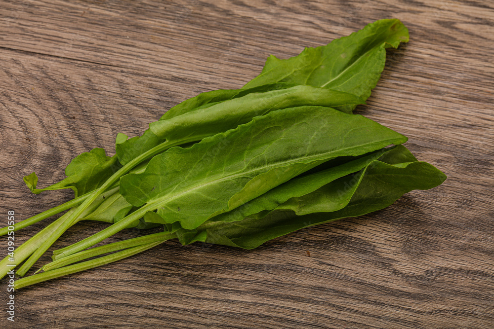 Aroma Fresh green sorrel heap Aroma Fresh green sorrel heap