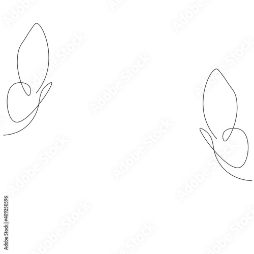 Butterfly line drawing, vector illustration © Keya