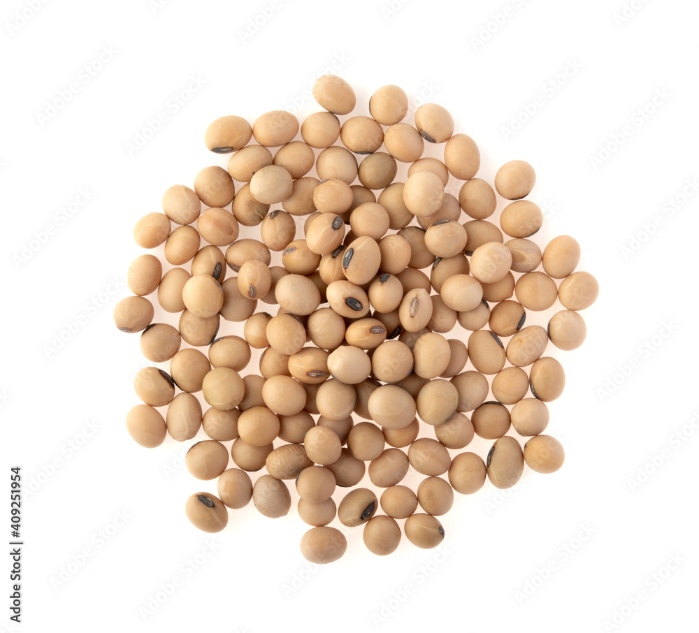 soybean isolated on white background. top view soybean isolated on white background. top view