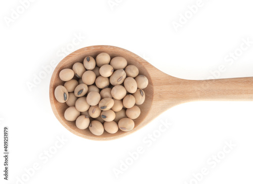 soybean isolated on white background. top view