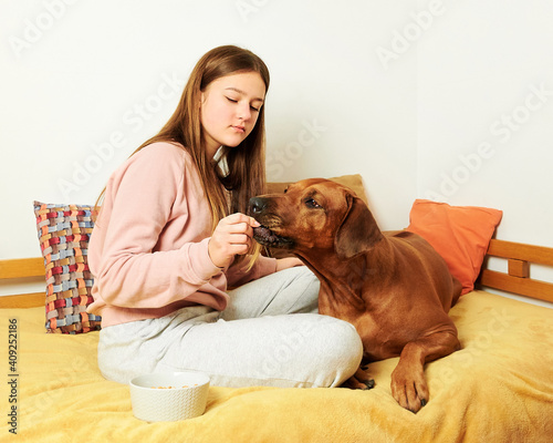 Teenage girl giving her Rhodesian ridgeback dog some treats, sitting on sofa at home. 