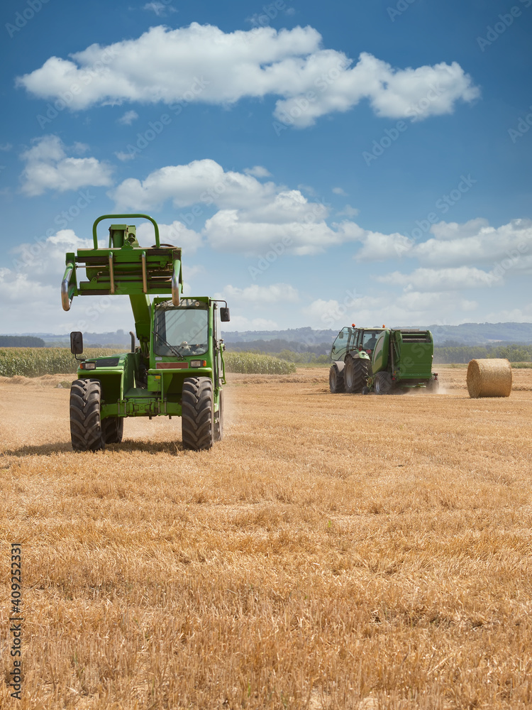Obraz premium Harvesting wheat crop in Summer