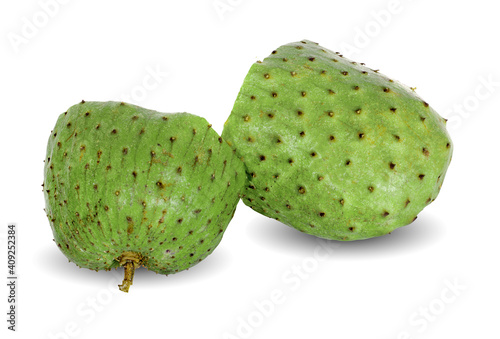 Annona muricata isolated on white background photo
