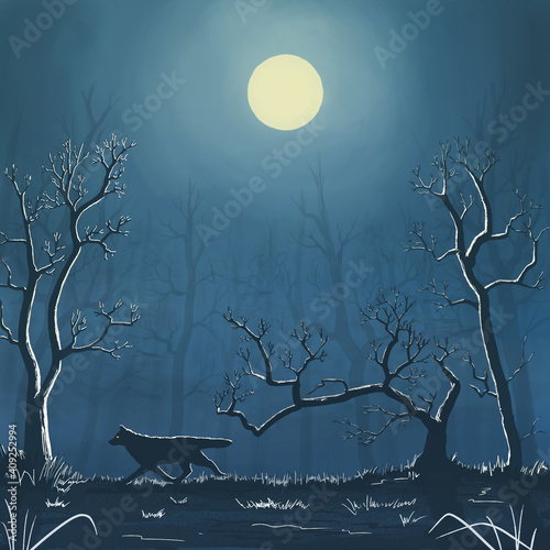 A night magic forest with silhouettes of trees  a wolf and grass  full moon. Hand-drawn fantasy illustration. 