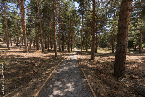 pedestrian dirt road in Sierra Nevada