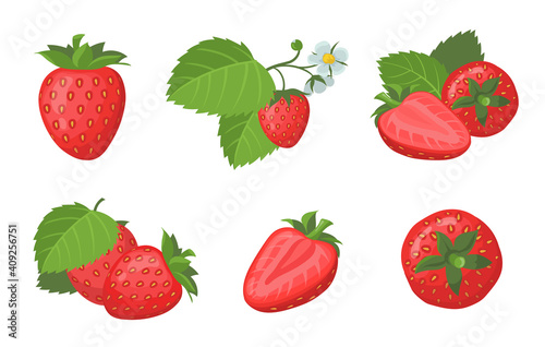 Fototapeta Naklejka Na Ścianę i Meble -  Fresh ripe strawberry set. Whole and sliced juicy red summer berries with leaves isolated on white. Vector illustration for organic food, fruit, farm market, natural product concept