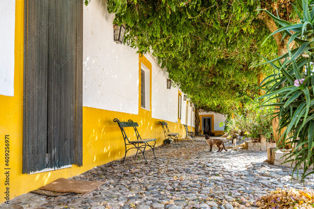 Typical courtyard of rich house with cat in Alentejo, Portugal