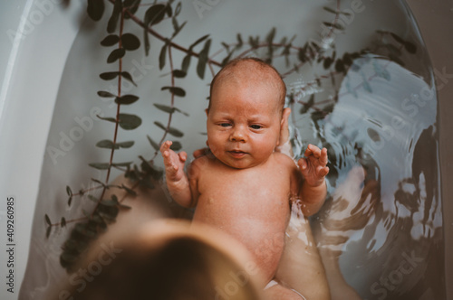 Top view of baby in bath tub with eucalyptus leaves after being born