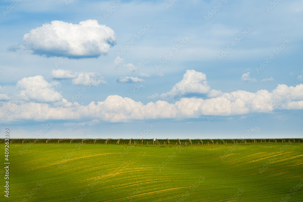 Scenic view of rolling field against sky near Kyjov, Hodonin District, South Moravian Region, Moravia, Czech Republic Scenic view of rolling field against sky near Kyjov, Hodonin District, South Moravian Region, Moravia, Czech Republic
