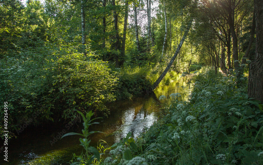 Forest river in the forest near Moscow Forest river in the forest near Moscow