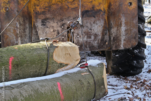 alte Forsttechnik zieht Baumstämme an Seilen aus dem Wald photo