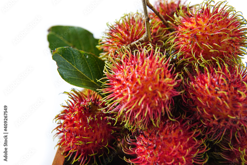 rambutan fruit with isolated white background. copy space rambutan fruit with isolated white background. copy space