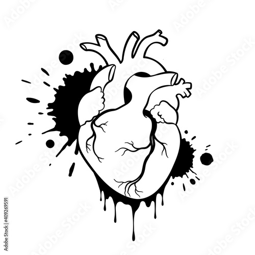 Grunge human heart. Anatomical realistic dripping heart, line art, vector illustration