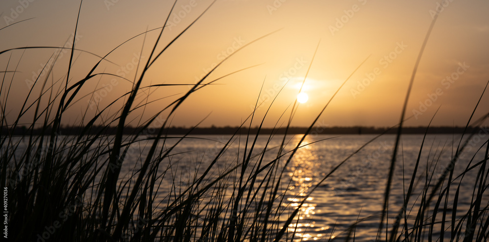 Cape Fear River Sunset Through the Reeds