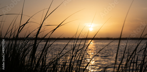 Cape Fear River Sunset Through the Reeds