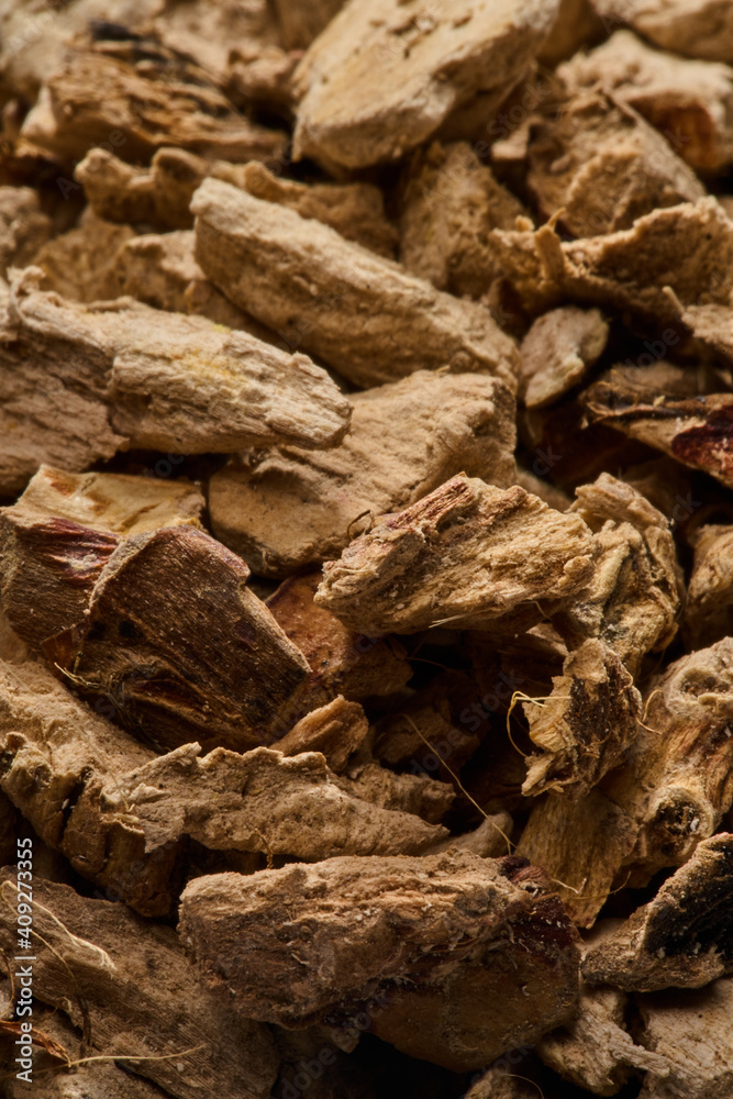 aromatic calamus macro close up