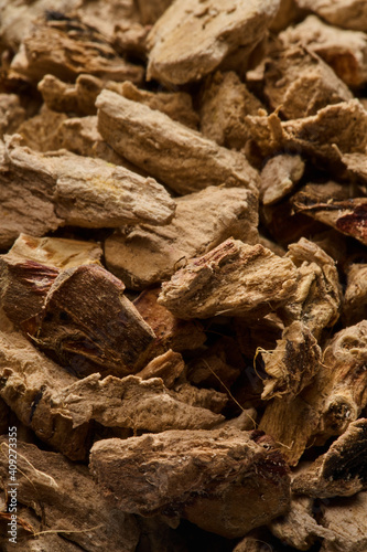 aromatic calamus macro close up