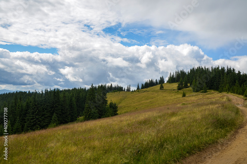Mountain tops with forests on green grassy slopes with blue sky and clouds above. Gorgeous view on Carpathian valley 