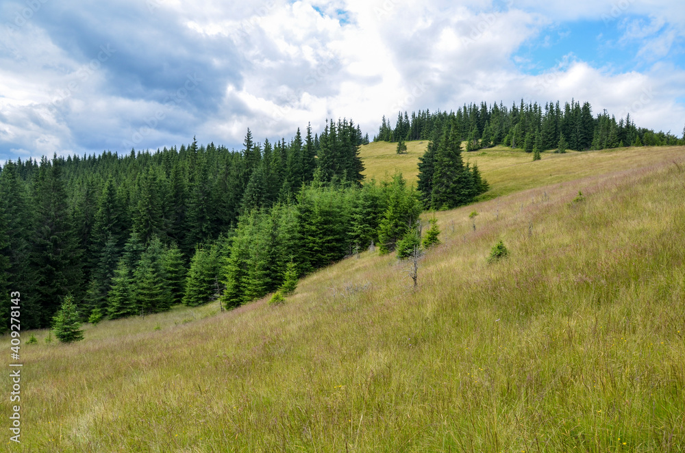 Mountain tops with forests on green grassy slopes with blue sky and clouds above. Gorgeous view on Carpathian valley 