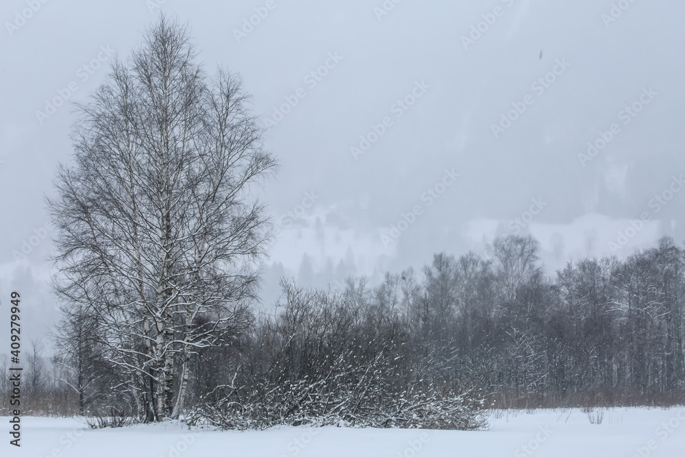 Winterstimmung mit schneefall Winterstimmung mit schneefall